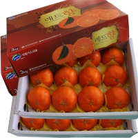 레드향3kg(11~12)*2