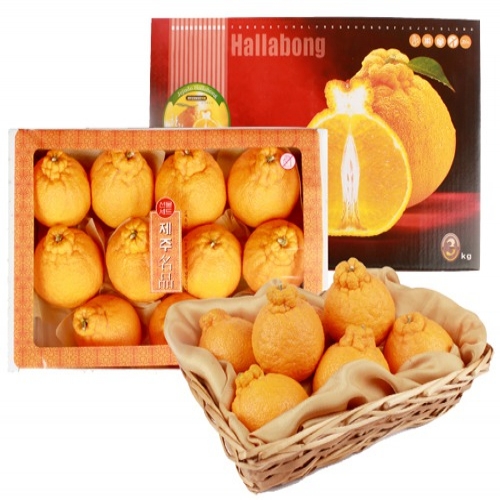 한라봉4.5kg(12~22입) 선물포장