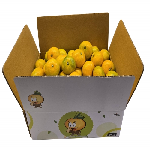 하우스감귤 황금알2.5kg(소과, 벌크)