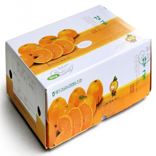 하우스감귤 황금알3kg(S~L사이즈, 로얄과, 선물포장)