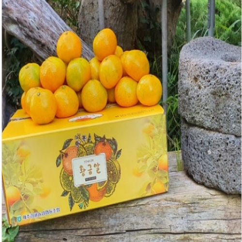 노지감귤 황금알 9kg(2S~M사이즈, 로얄과, 벌크)